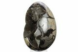 Septarian Dragon Egg Geode - Black Crystals #241118-2